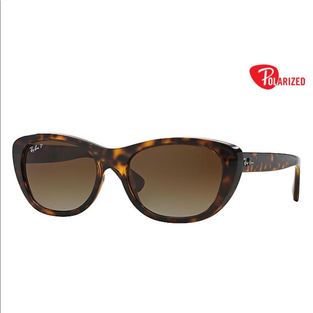 Ray-Ban 4227 Polarized Cat-eye Sunglasses